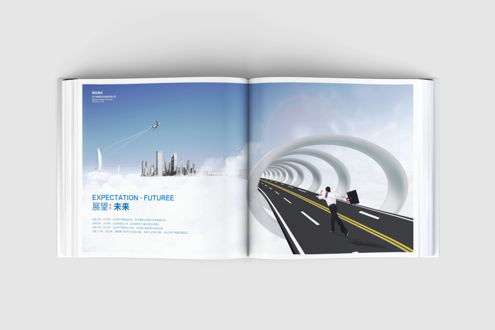 庄浪县画册设计